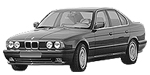 BMW E34 P2AB0 Fault Code