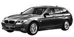 BMW F11 P2AB0 Fault Code